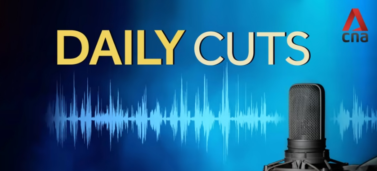 Daily Cuts – Finding Bliss with Babies Bliss